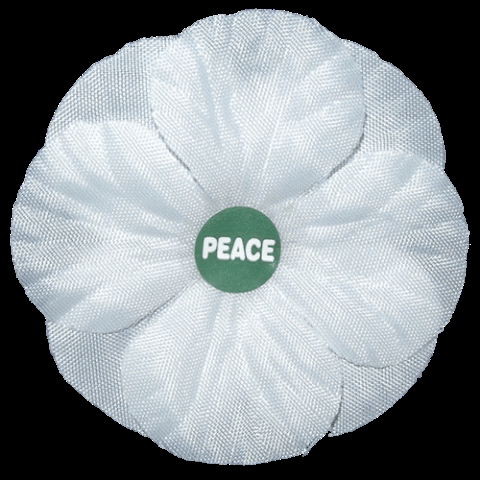 PeacePledgeUnion giphygifmaker peace remembrance pacifist GIF