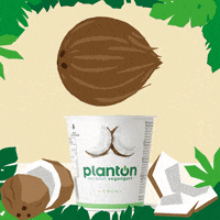 Plant-Based Vegan GIF by planton