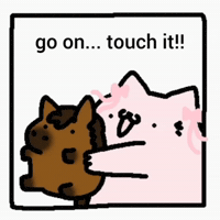 Spainnubcat GIF