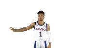 University Of Kansas Jayhawks Sticker by Kansas Athletics