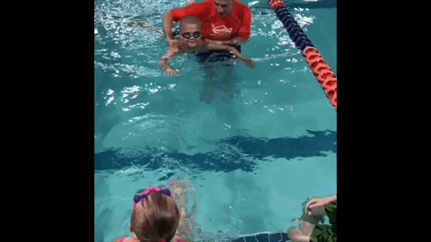 goldfish swimming GIF