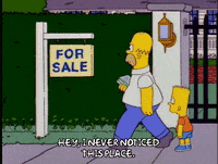 homer simpson episode 13 GIF