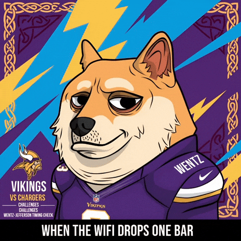 Minnesota Vikings Football GIF by Doge Pound