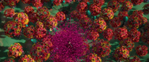 princess family fun GIF by Blue Fox Entertainment