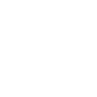 Fly Butterfly Sticker
