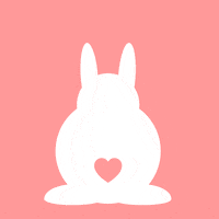 VetZ_petsxl happy bunny rabbit easter GIF