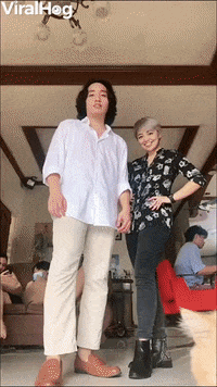 Cute Cat Steals Spotlight GIF by ViralHog