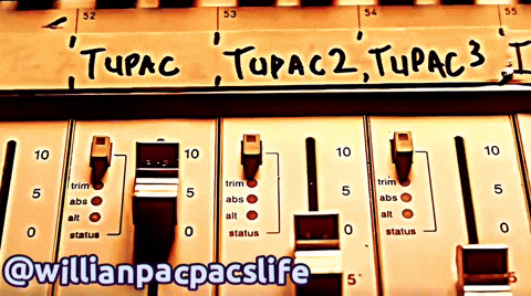 Willianpacpacslife GIF