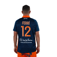 Ferri Sticker by MHSC