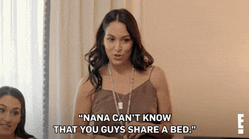 Brie Bella Relationship GIF by E!