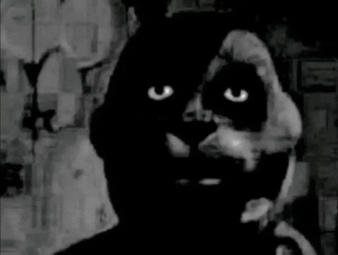 Shocked Five Nights At Freddys GIF