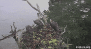 GIF by Mashable