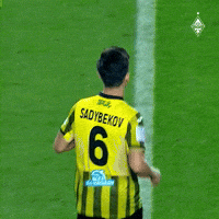 Captain GIF by FC Kairat