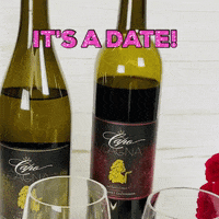 LeahVanDale wine drinks date roses GIF