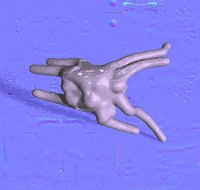 ellamaepreston blender blob automated archive GIF