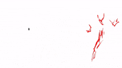 Art Animation GIF by Marco Ibarra