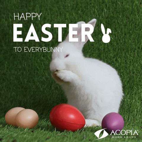 Easter Bunny GIF by Acopia Home Loans