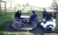idiot spinning GIF