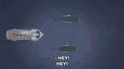 exclaiming swimming GIF by South Park 