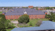 Lu Beaumont GIF by Lamar University