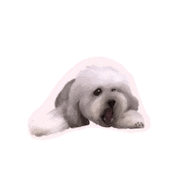 Dog Waffle Sticker