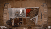 acorn-tv animation animated mystery queens GIF