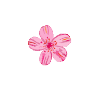 ovunquebycaro pink flower flowers orange Sticker