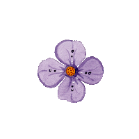 ovunquebycaro flower pretty flor violet Sticker