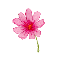 Pink Flower Sticker