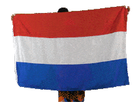 Max Verstappen Holland Sticker by Berk Music