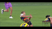 afl celebrate GIF by Adelaide Crows