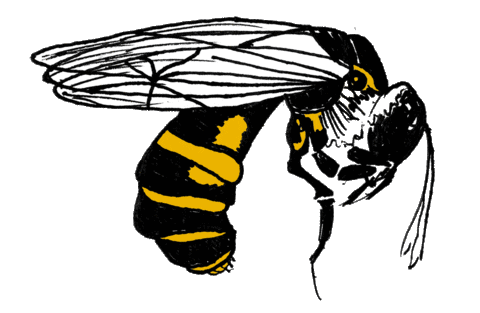 Busy Bee Art Sticker by penguinrandomhouse