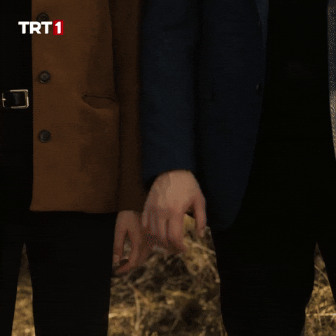 Tolga Saritas Love GIF by TRT