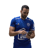 Ligue 1 Football Sticker by estac_troyes