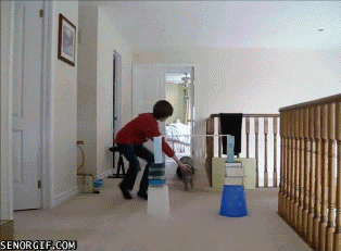 cat jumping GIF by Cheezburger