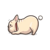 ChefPopokinhas popokinhas chefpopokinhas popokinhasbulls Sticker