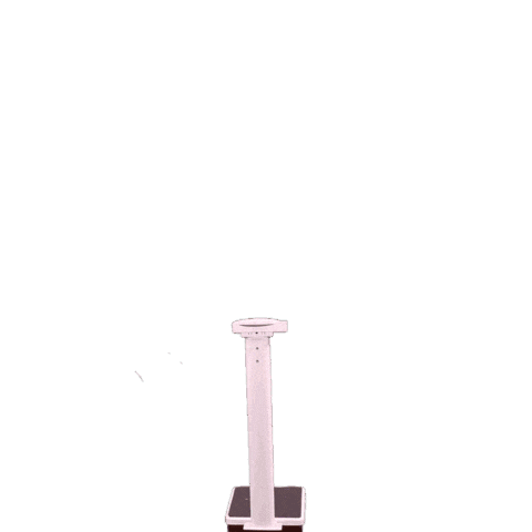 Weigh In Jack Higgins Sticker by Jersey Reds