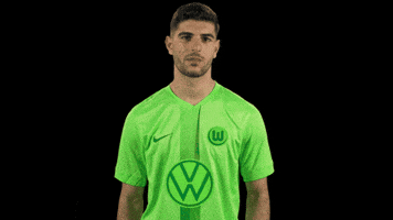 Like A Boss Deal With It GIF by VfL Wolfsburg