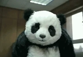 200.webp