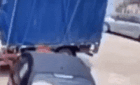 tingtinglu giphyupload GIF