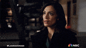 Nbc What GIF by Law & Order