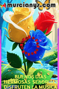 Amigos Buenos Dias GIF by Murcianys LLC