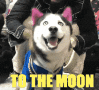 swagrman coin to the moon crypto meme funny crypto GIF