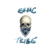 Skull Sticker by Frontier Risks Group