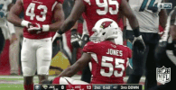 Arizona Cardinals Football GIF by NFL