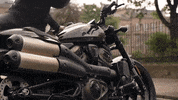 Ride GIF by Harley-Davidson