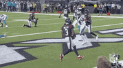 Houston Texans Football GIF by NFL