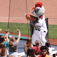 Shocked Baseball GIF by Sacramento River Cats