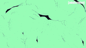 Season 2 Morty Smith GIF by Rick and Morty