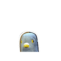 insideuniverse cool nice copadomundo pombo Sticker